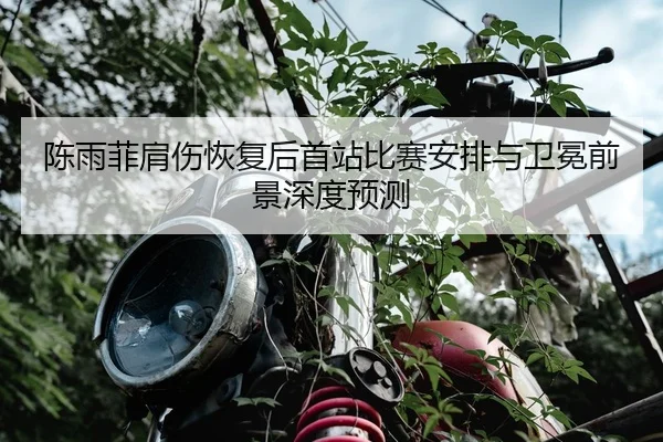陈雨菲肩伤恢复后首站比赛安排与卫冕前景深度预测